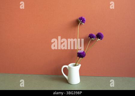Vase de globe violet amaranth fleurs sèches sur table kaki. Fond de mur rouge. Décoration intérieure Banque D'Images