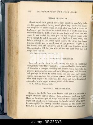 La page 223 du 1883 Housekeepers New Cook Book contient des instructions domestiques, des conseils de cuisine et des recettes pratiques pour un usage domestique. Banque D'Images