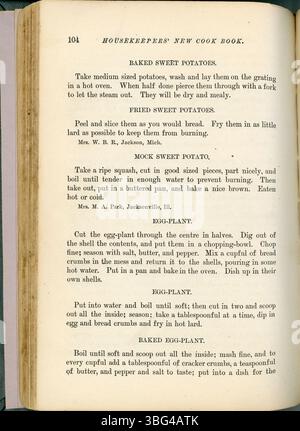 The Housekeepers New Cook Book de 1883 comprend près de 1 000 recettes et des conseils pratiques pour les femmes de ménage de la fin du XIXe siècle, couvrant divers styles de cuisine, la planification des repas et la gestion domestique. Banque D'Images