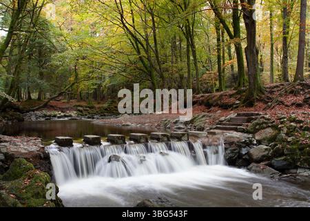 Pierres de marche pour cascade Banque D'Images