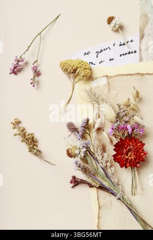 Plantes séchées, feuilles de papier décoratives et une lettre manuscrite. Ressources graphiques Banque D'Images
