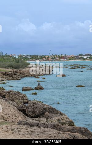 Vue côtière d'Arashi bach Aruba avec une gratte-ciel hôtelso en arrière-plan Banque D'Images
