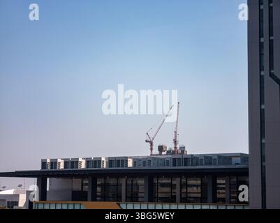 Une vue de grues surplombant un horizon urbain, mettant en évidence l'activité de construction dans la ville. Le ciel bleu clair crée une toile de fond vibrante pour le développement Banque D'Images