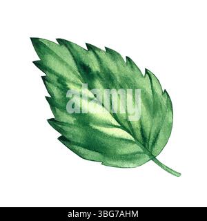 Illustration d'aquarelle d'été de la série Flamingo Banque D'Images