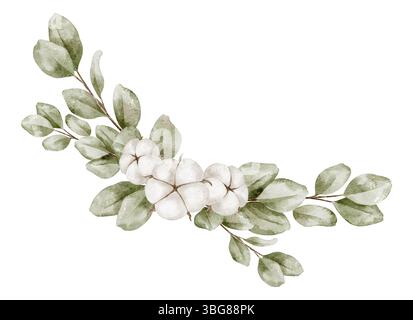 Illustration d'aquarelle botanique avec des branches d'eucalyptus et des cosses de coton. Dessin floral pour invitations de mariage et invitations de douche de bébé avec des éléments naturels. Art avec des feuilles et des fleurs. Banque D'Images