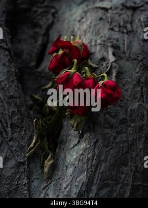 Roses rouges laissées sur une statue. Banque D'Images