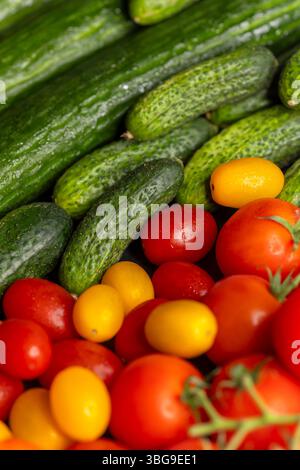 Concombres fraîchement cueillis et tomates rouges et jaunes mûres créant une nature morte colorée et saine Banque D'Images