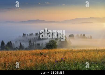 Belle nature slovaque préservée, une destination merveilleuse pour les vacances et la détente Banque D'Images