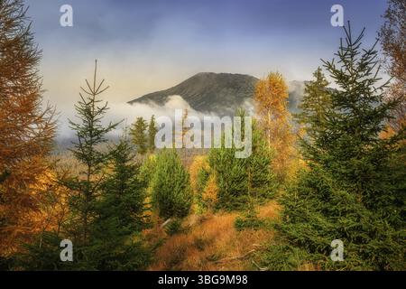 Belle nature slovaque préservée, une destination merveilleuse pour les vacances et la détente Banque D'Images