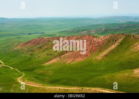 Collines verdoyantes doucement avec des sentiers visibles dans le paysage rural près du village de Champagne. Région de Tachkent, Ouzbékistan. Mai 2025 Banque D'Images