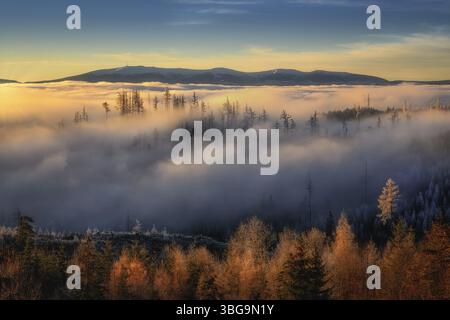 Brouillard dans les contreforts des Hautes Tatras au lever du soleil près de Strbske pleso en Slovaquie Banque D'Images