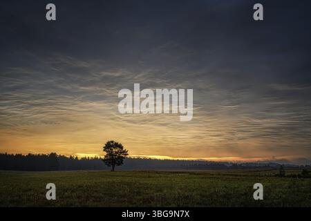 Wigry - belle nature préservée polonaise, une destination merveilleuse pour les vacances et la détente Banque D'Images
