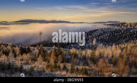 Brouillard dans les contreforts des Hautes Tatras au lever du soleil près de Strbske pleso en Slovaquie Banque D'Images