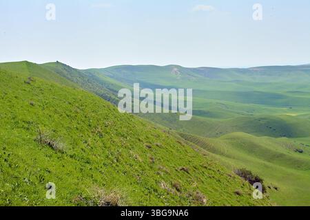 Collines verdoyantes doucement avec des sentiers visibles dans le paysage rural près du village de Champagne. Région de Tachkent, Ouzbékistan. Mai 2025 Banque D'Images