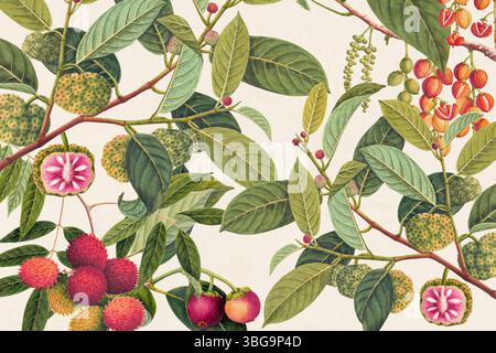 Motif botanique avec fruits tropicaux et feuillage vert. Style dessiné à la main avec une sensation rustique, idéal pour les arrière-plans à thème naturel. Banque D'Images