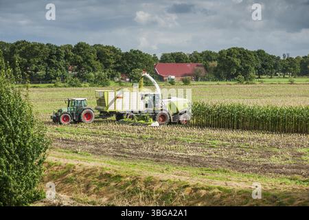 Vue à distance d'une équipe de récolte de maïs composée d'une ensileuse avec un bras d'extension vers la remorque basculante, derrière le tracteur au travail Banque D'Images