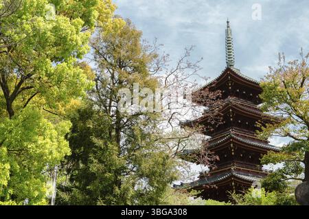 Parc Ueno cinq étages pagode du temple kanei-ji à Tokyo, Japon, Asie Banque D'Images