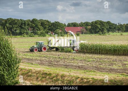 Vue à distance d'une équipe de récolte de maïs composée d'une ensileuse avec un bras d'extension vers la remorque basculante, derrière le tracteur au travail Banque D'Images