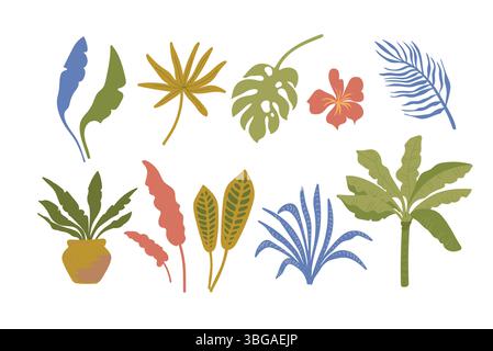 Ensemble de vecteurs de feuilles tropicales. Plantes exotiques de la jungle . Illustration de Vecteur
