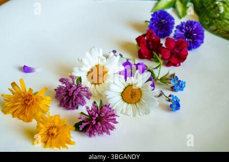 Têtes de fleurs colorées alignées sur Une assiette en porcelaine. Les Blossoms sont souvent utilisés comme décorations comestibles pour les plats. Banque D'Images