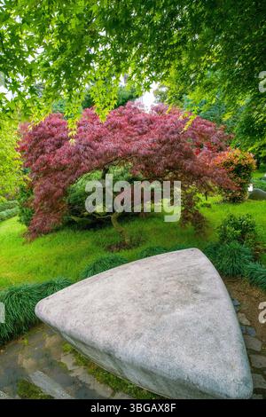 Jardin japonais à Batoumi en mai avec des feuilles rouges de jardin japonais en mai (érables rouges) et chemin de jardin Triangle rocher comme banc dans le style japonais Banque D'Images