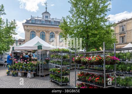 Centre-ville d'Abingdon avec le marché du lundi charter animé qui a lieu sur la place du marché, Abingdon, Oxfordshire, Angleterre, Royaume-Uni Banque D'Images