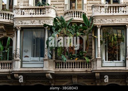 façade du bâtiment historique avec volets et plantes sur balcons Banque D'Images