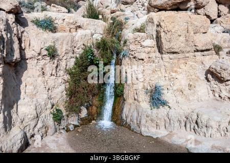 Un petit jet d'eau coule le long d'une colline rocheuse. L'eau est claire et fraîche, et les rochers qui l'entourent sont rugueux et dentelés. La scène est Peac Banque D'Images