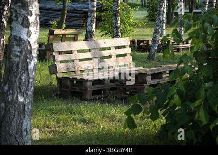 Bancs en bois fabriqués à partir de palettes placées dans un cadre forestier avec des bouleaux autour, véhiculant une ambiance naturelle et rustique. Parfait pour se détendre en plein air Banque D'Images