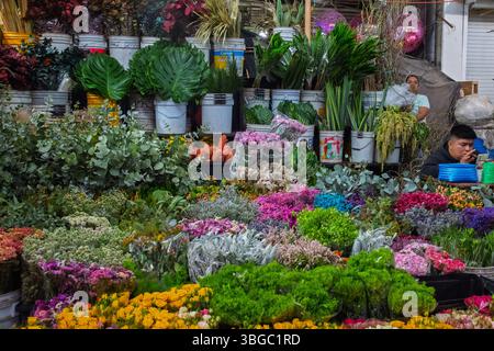 Mercado Jamaica, l’un des marchés publics traditionnels de Mexico. CDMX, Mexique Banque D'Images