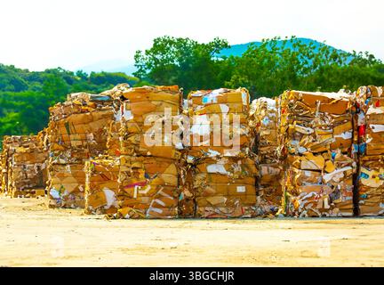 Pile de déchets de papier avant le déchiquetage à l'usine de recyclage Banque D'Images