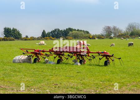 Moutons et agneaux cherchant de l'ombre sous une faneuse Kuhn GF 5001 MH dans un champ dans le parc national Exmoor près de Lynton, Devon, Angleterre. Banque D'Images