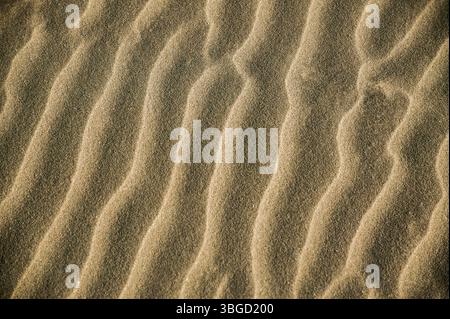 Vent doux créant de belles ondulations sur les dunes de sable dans un vaste paysage désertique Banque D'Images