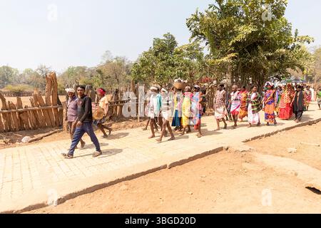 Cérémonie de mariage colorée traditionnelle de la tribu Gadhava en orissa en inde, beau mariage de la tribu Gadaba dans un village isolé, procession de mariée Banque D'Images