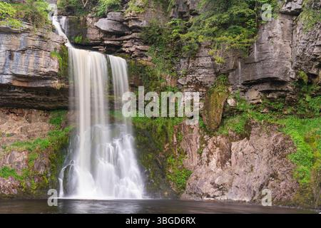 Englabd, Yorkshire, Yorkshire Dales National Park. Les eaux rapides de la chute d'eau Thornton Force, près d'Ingleton. Banque D'Images