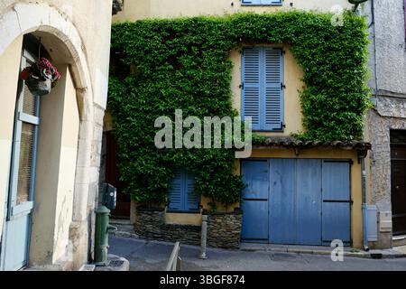 Ancien bâtiment européen avec volets bleus et façade en pierre recouverte de lierre, capturant le charme rustique dans une lumière naturelle douce. Banque D'Images