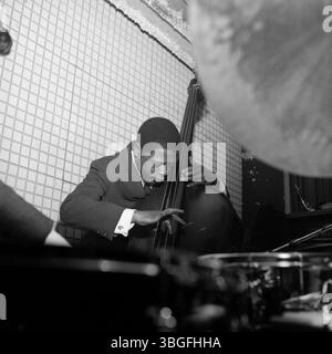 Le bassiste américain George Joyner alias Jamil Nasser BEI einem konzentrierten Live-Auftritt in einem Jazzclub der 1960er Jahre. Versunken in sein Spiel am Kontrabass, zeigt er Virtuosität und tiefe Hingabe an die Musik. Banque D'Images