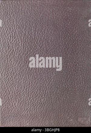 Le lycée de Reynoldsburg a commencé en 1819 avec une cabane en rondins dans le canton de Truro. L'école s'agrandit en 1858 avec une structure en briques à deux étages. En 1868, la Reynoldsburg Union Academy a été créée. L'école a subi une rénovation majeure en 1925, ajoutant un troisième étage. Le premier annuaire, Reynolian, a fait ses débuts en 1943. Reynoldsburg High exploite actuellement deux campus. Banque D'Images
