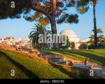 Istanbul, district de Sultanahmed, Eminönü, Mosquée bleue Banque D'Images