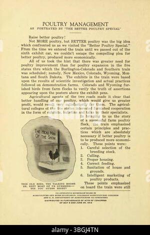 L’édition de novembre 1927 de *The Better Poultry Special* met l’accent sur les techniques de gestion de la volaille et fournit des conseils pratiques pour améliorer les pratiques d’élevage avicole. Banque D'Images