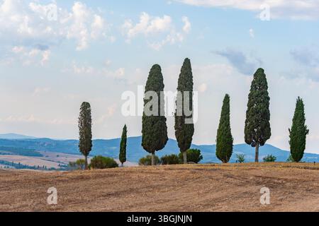 Paysage toscan avec cyprès et ferme au lever du soleil, l'aube, 'Podere Cipressini', San Quirico d'Orcia, Val d'Orcia, Toscane, Italie, Europe Banque D'Images