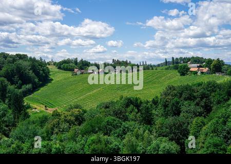 Vignobles verdoyants parmi les forêts sur les collines de Styrie du Sud contre un ciel bleu Banque D'Images