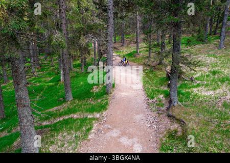 Touriste sur un voyage à vélo à Rogla, Pohorje, bikepacking voyage autour de la forêt située près de la station de ski Rogla en slovénie, cyclistes sur un sentier Banque D'Images
