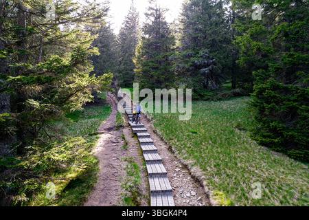 Touriste en voyage à vélo à Rogla, Pohorje, voyage de bikepacking autour de la forêt située près de la station de ski Rogla, traverser la passerelle en bois, slovénie Banque D'Images
