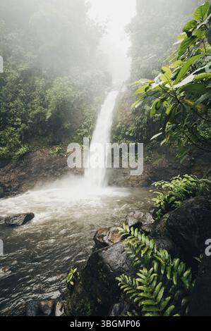 Cascade de la forêt tropicale du Costa Rica Banque D'Images