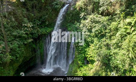 La chute spectaculaire de la cascade de Tiu Kelep éclate à travers la forêt tropicale, sa brume s'élevant parmi les fougères et les palmiers. Cette vue présente la puissance brute et les Banque D'Images