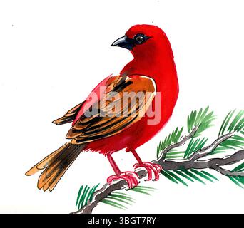 Oiseau sur une branche d'arbre. Illustration d'aquarelle dessinée à la main Banque D'Images