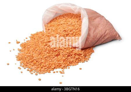 pile de lentilles rouges ou masoor dal dans un sac à provisions transparent et fond blanc isolé dispersé, à utiliser pour la cuisson indienne, moyen-orient Banque D'Images