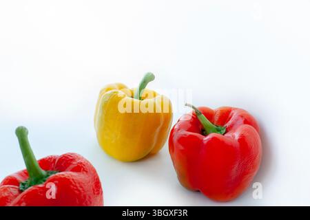 Poivrons multicolores isolés sur fond blanc. Photo de légumes pour bannière. Banque D'Images