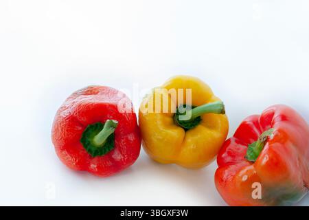 Poivrons multicolores isolés sur fond blanc. Photo de légumes pour bannière. Banque D'Images